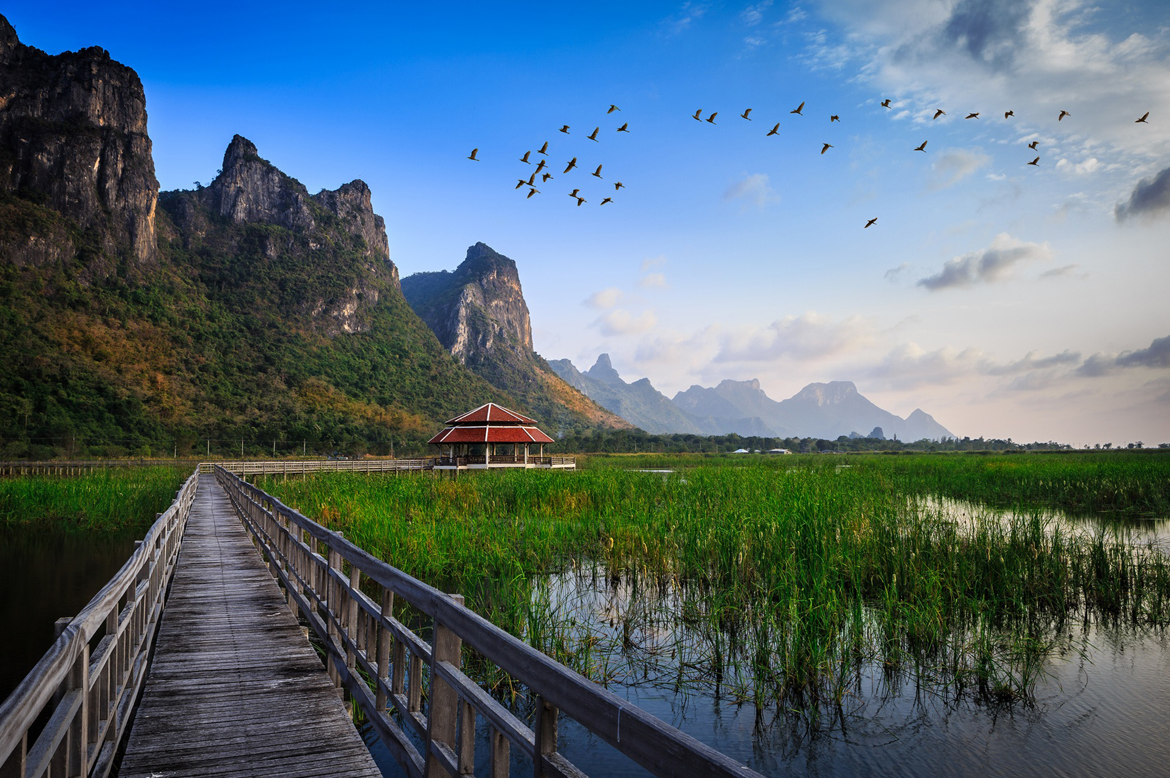 Intercultural Training for You